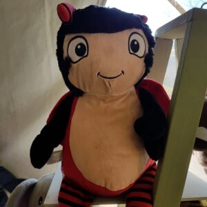 Ladybug Cubbie