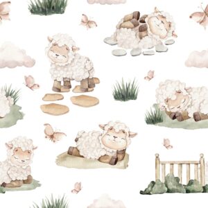 Sheep white background